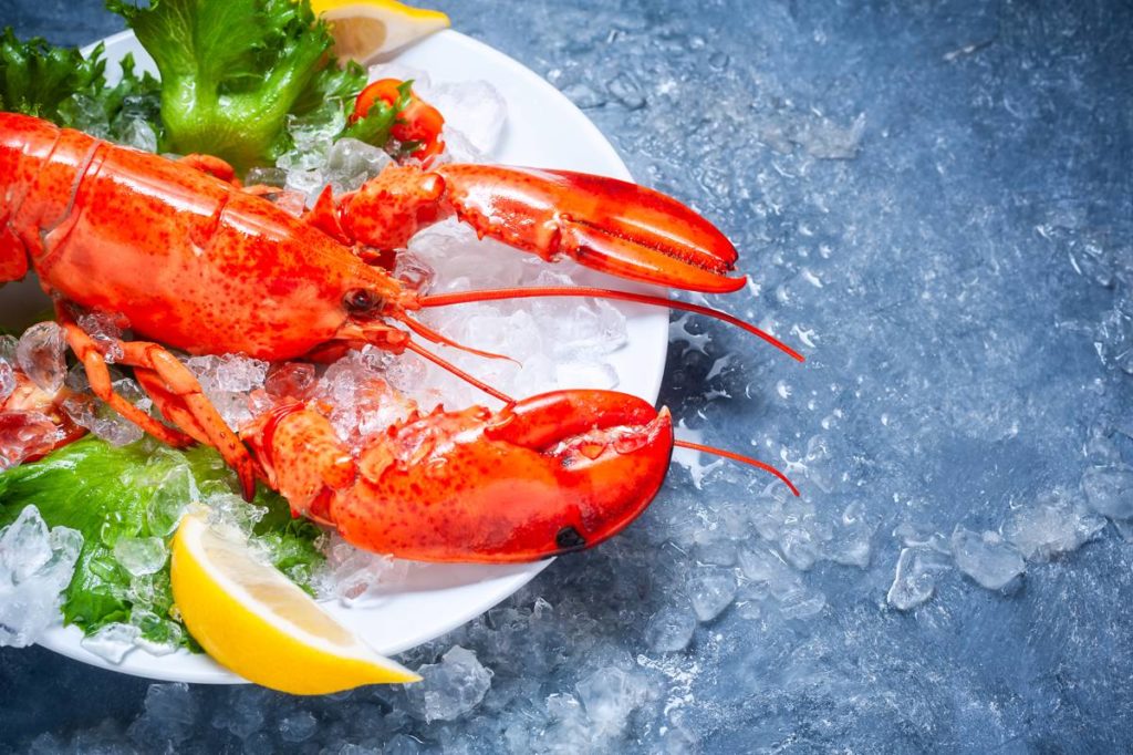 Things You Must Know Before You Buy Live Maine Lobsters